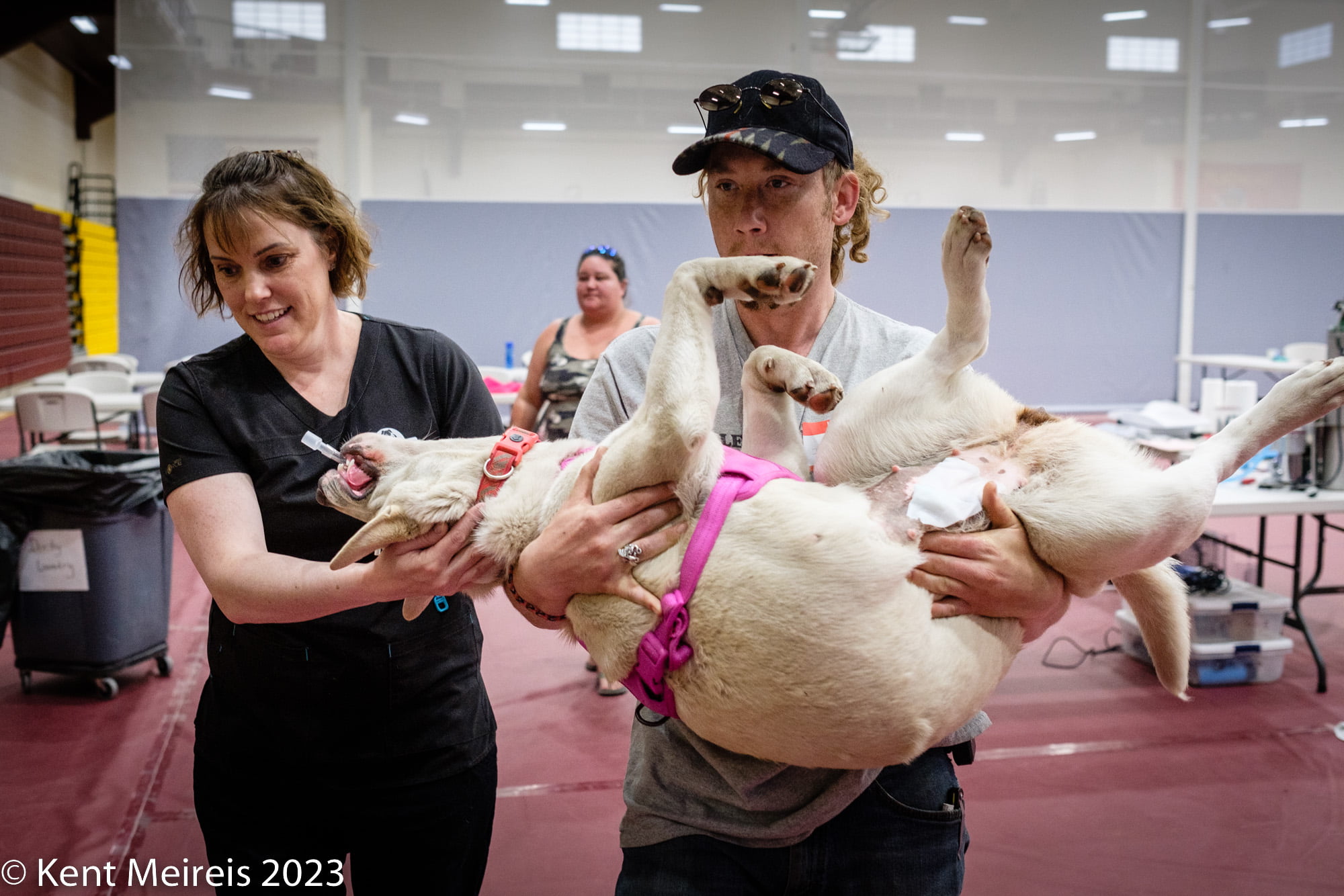 Arlee Spay and Neuter Clinic